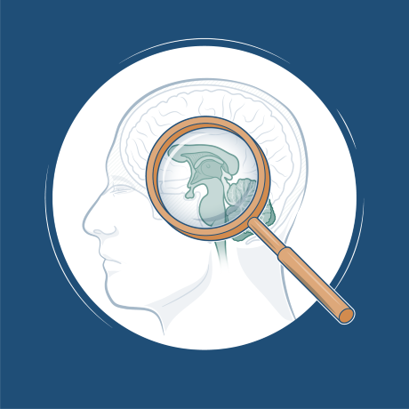 Illustration of a magnifying glass and a human brain