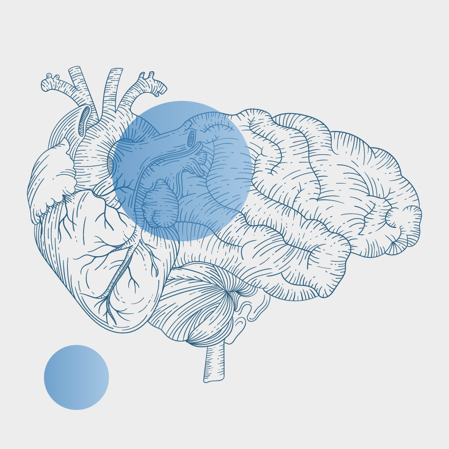 Illustration of a brain overlaid with a semi-transparent blue circle.  