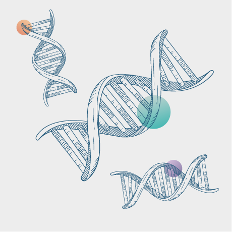 A monochromatic illustration of DNA double helices with colorful spots.