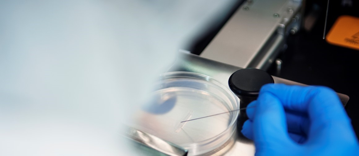 Hand of scientist working with a petri dish.  